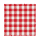 Red white gingham fabric swatch